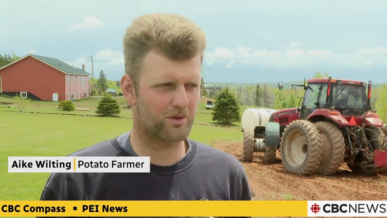 Aike Wilting on CBC Compass, Prince Edward Island news
