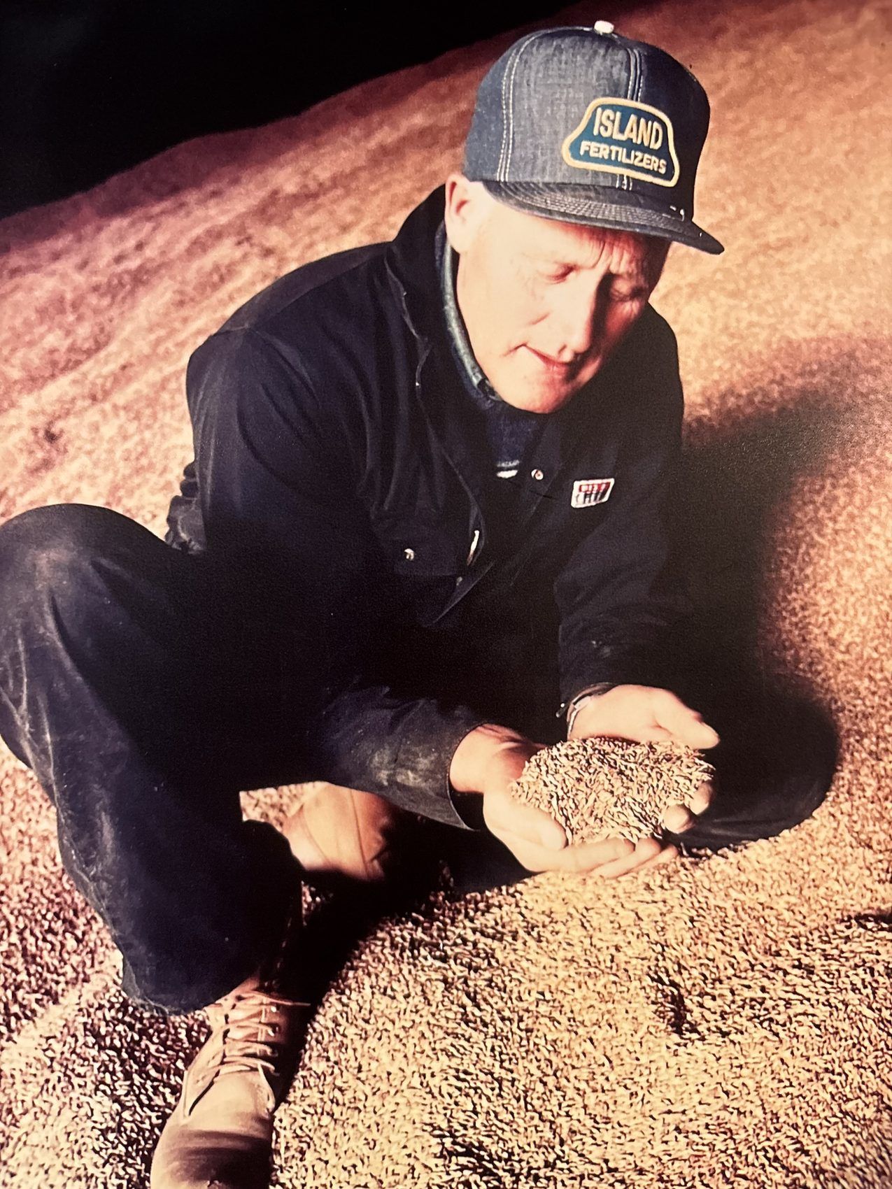 Aike Wilting holding a handful of freshly harvested grain