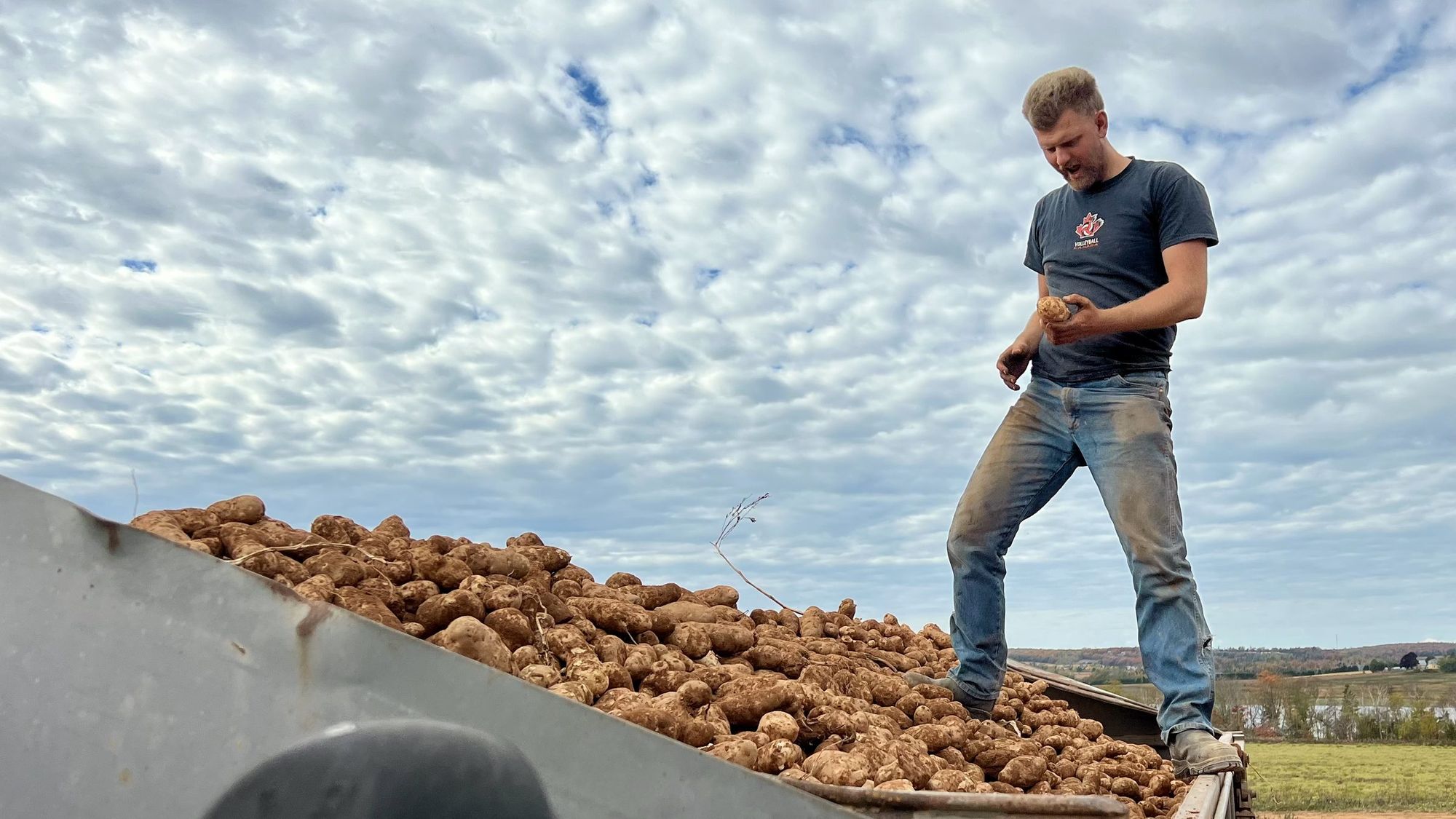 Aike Wilting standing on a truck bed loaded with potatoes under a dramatic sky