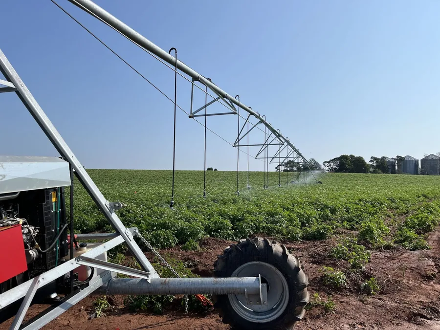 An irrigation pivot watering a green potato field in summer