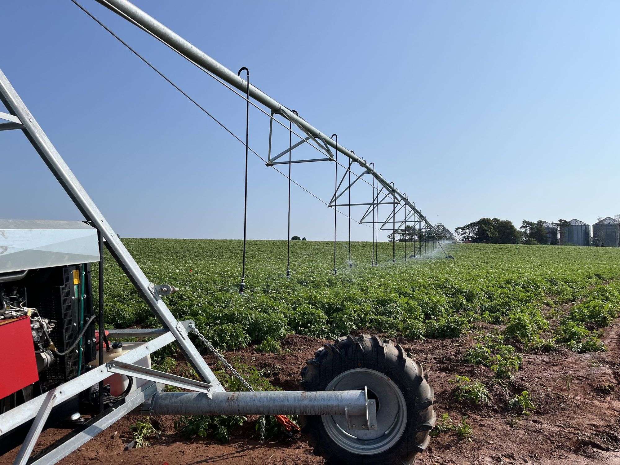 An irrigation pivot watering a green potato field in summer